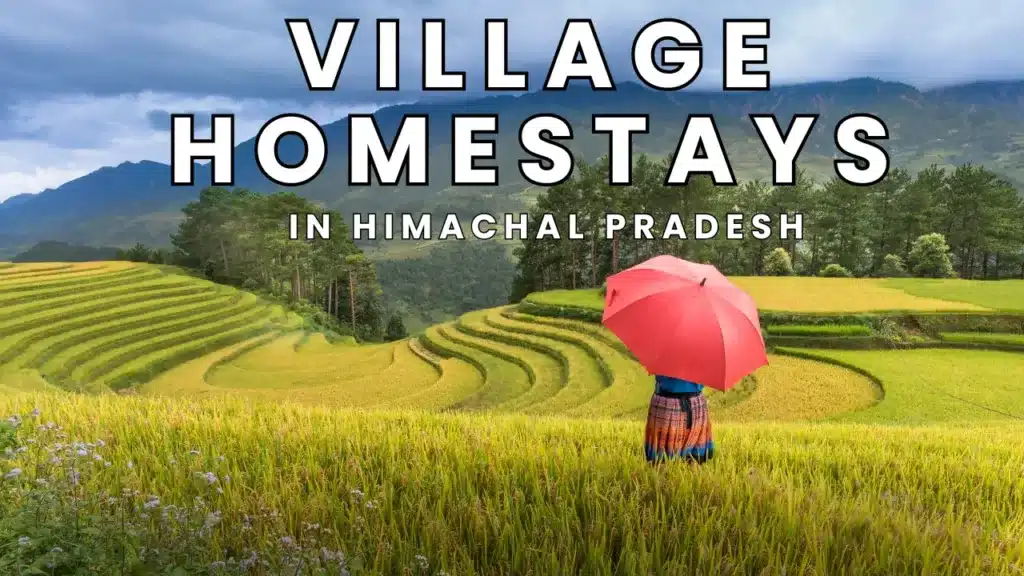 village_homestays_in_himachal_pradesh