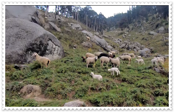 Kareri-lake-in-Himachal-Pradesh