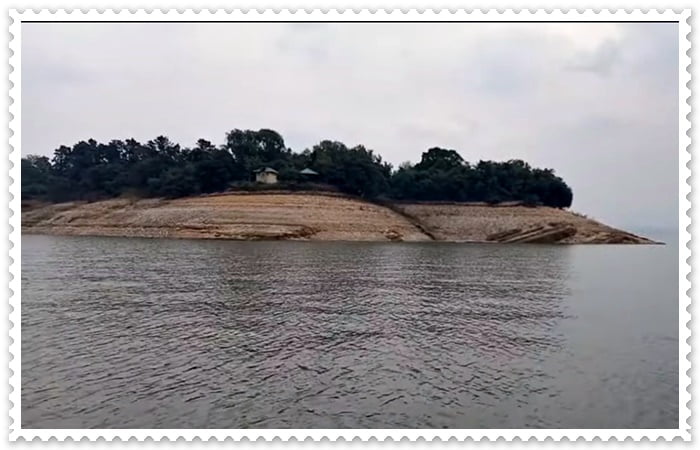 Pong Dam Himachal Pradesh